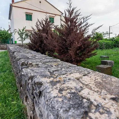 Lastavica Daire