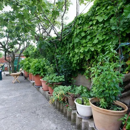 Apartment Lastavica *